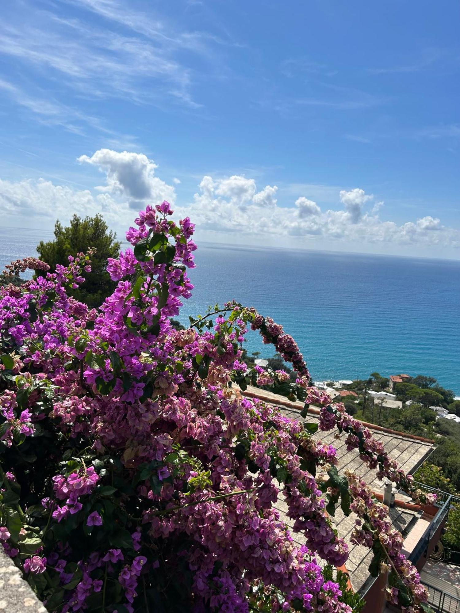דירות לאווניה Beautiful Tigullio מראה חיצוני תמונה